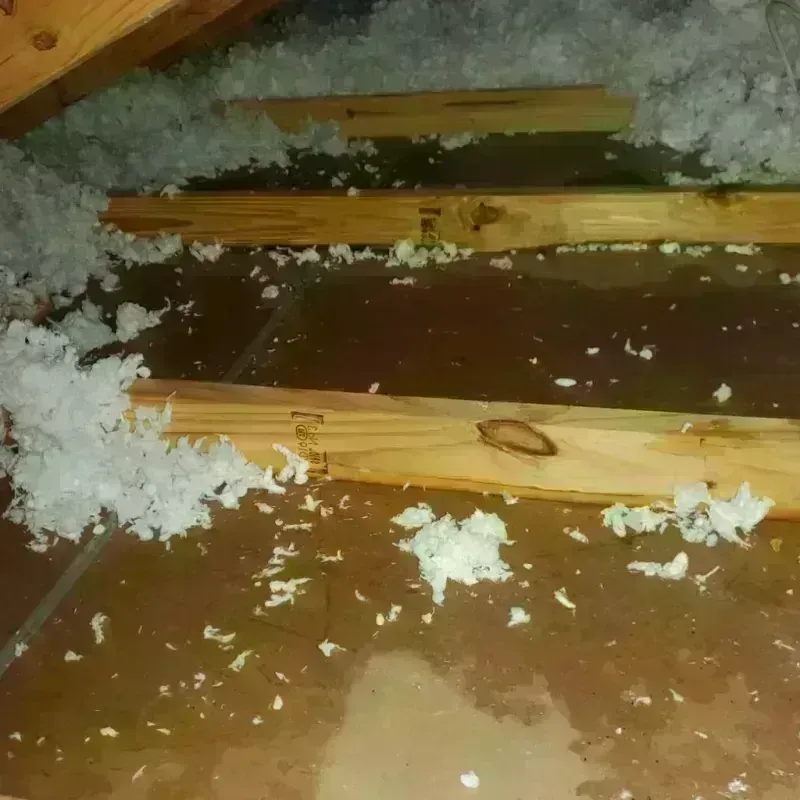 Attic Water Damage in Cairo, IL