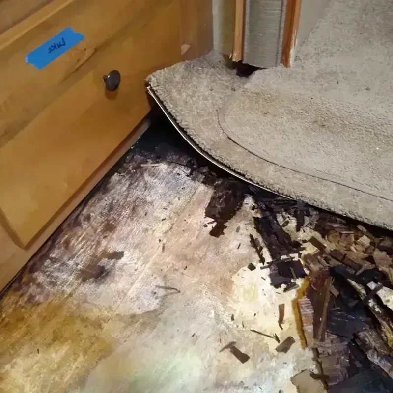 Wood Floor Water Damage in Cairo, IL